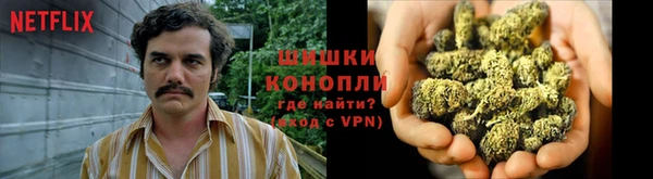 метадон Няндома